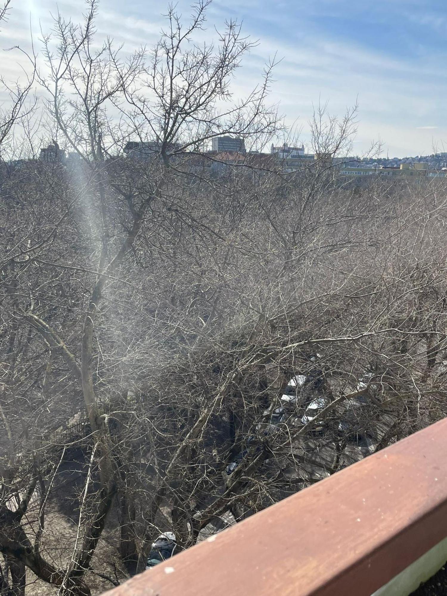 Park View City Center Location Apartment With Balcony Bratislava Eksteriør billede